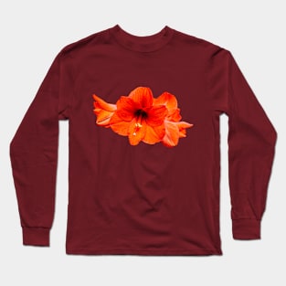 Scarlet Amaryllis  flower Long Sleeve T-Shirt